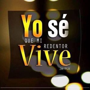 Meet your Posher, Euclides